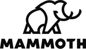 Mammoth Sports Construction